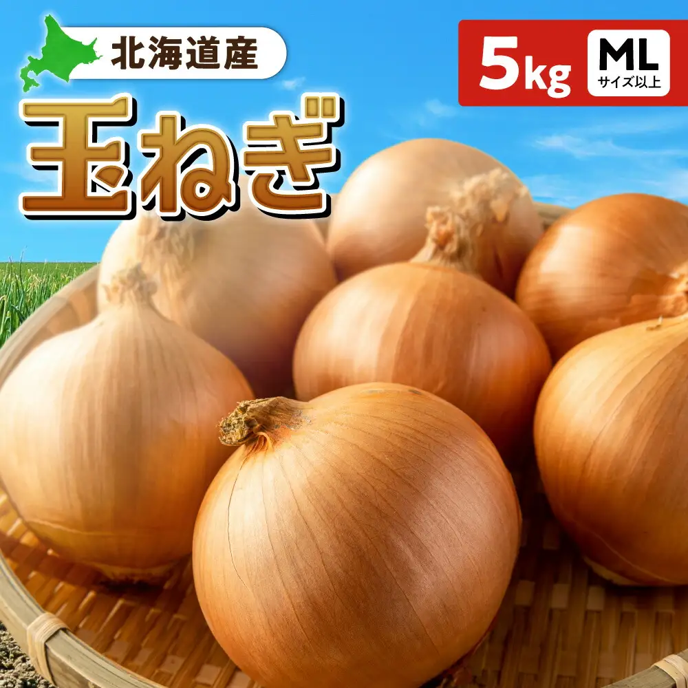 玉ねぎ 北海道産 5kg MLサイズ以上