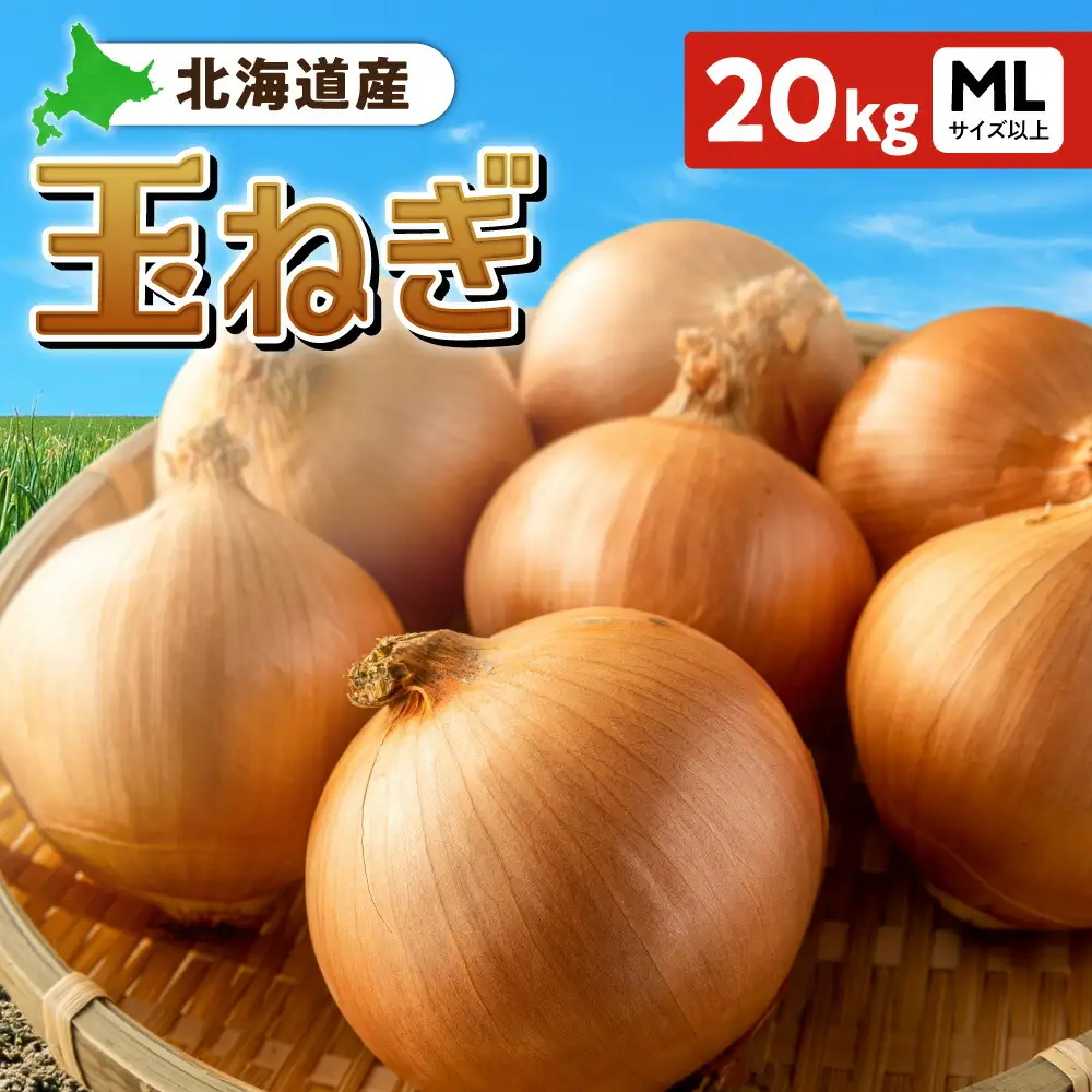 玉ねぎ 北海道産 20kg MLサイズ以上