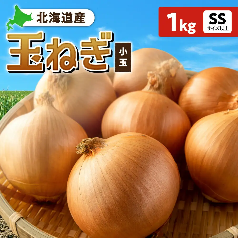 玉ねぎ 北海道産 小玉 1kg SSサイズ以上