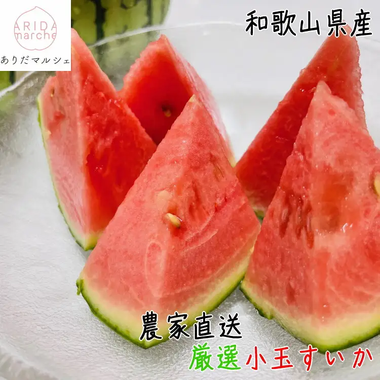 ［先行予約］厳選 小玉すいか Ｍサイズ ／2玉入り［農家直送］［和歌山県産］［MS127］
