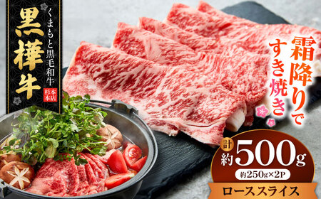 くまもと黒毛和牛 黒樺牛 A4〜A5等級 ローススライス すき焼き用 約500g 黒毛和牛ローススライス[AYBJ005]