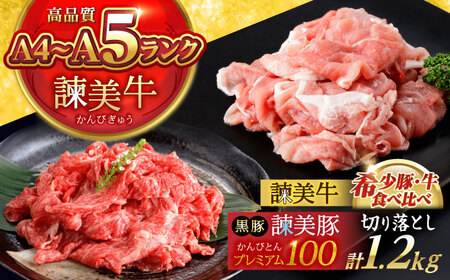 【ブランド牛＆ブランド豚の食べ比べ】諫美牛 切り落とし 600g(300g×2) ＆ 黒豚諫美豚プレミアム100 ウデ肉 切り落とし 600g(300g×2) / 切り落とし 牛肉 食べ比べ A5 赤身 焼肉 豚 豚肉 小分け ブラント豚 ハム / 諫早市 / 株式会社土井農場[AHAD102]