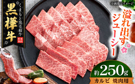 くまもと黒毛和牛 黒樺牛 A4〜A5等級 カルビ 焼肉用 約250g 黒毛和牛 カルビ焼肉[AYBJ031]