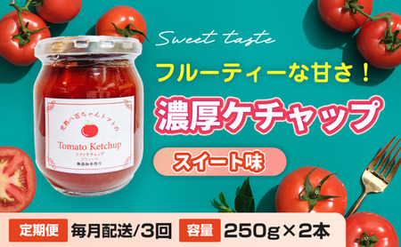 【定期便・全3回】濃厚ケチャップ スイート味 250g 2本セット × 3回｜国産 姫路産 八百ちゃんトマト 着色料・保存料不使用