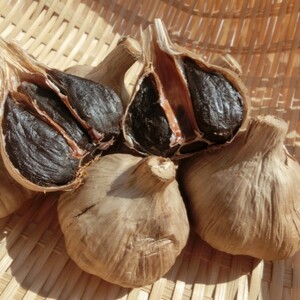 南信州ここだに 黒にんにく 信州 長野県産 食品添加物不使用訳あり大容量 (500g)×2袋 | にんにく 大蒜 野菜 薬味 ガーリック 国産 人気 送料無料 長野県 飯田市