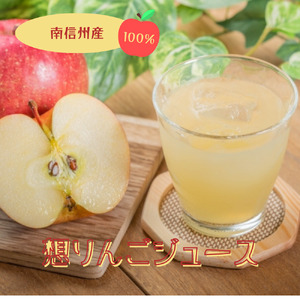 南信州天龍峡 果汁100% 想りんごジュース | りんご ジュース 国産 飲料 長野県 飯田市