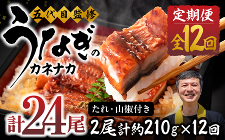 国産若うなぎ 2尾 定期便12回 うなぎ