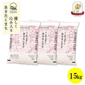【毎月定期便】秋田県産あきたこまち無洗米15kg(5kg×3)全12回【配送不可地域：離島・沖縄県】【4072899】