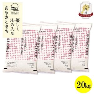 【毎月定期便】秋田県産あきたこまち無洗米20kg(5kg×4)全12回【配送不可地域：離島・沖縄県】【4072900】