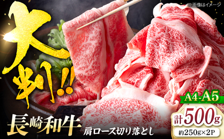 長崎和牛 牛肉切り落とし 500g / 牛肉切り落とし [CFT026]