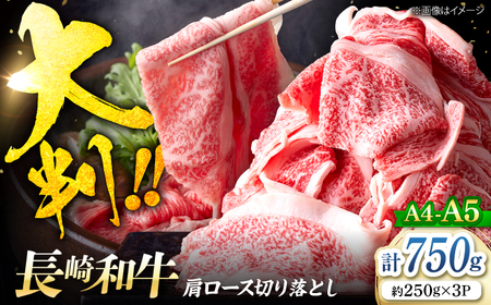 長崎和牛 大判切り落とし/ 750g |牛肉切り落とし[CFT027]