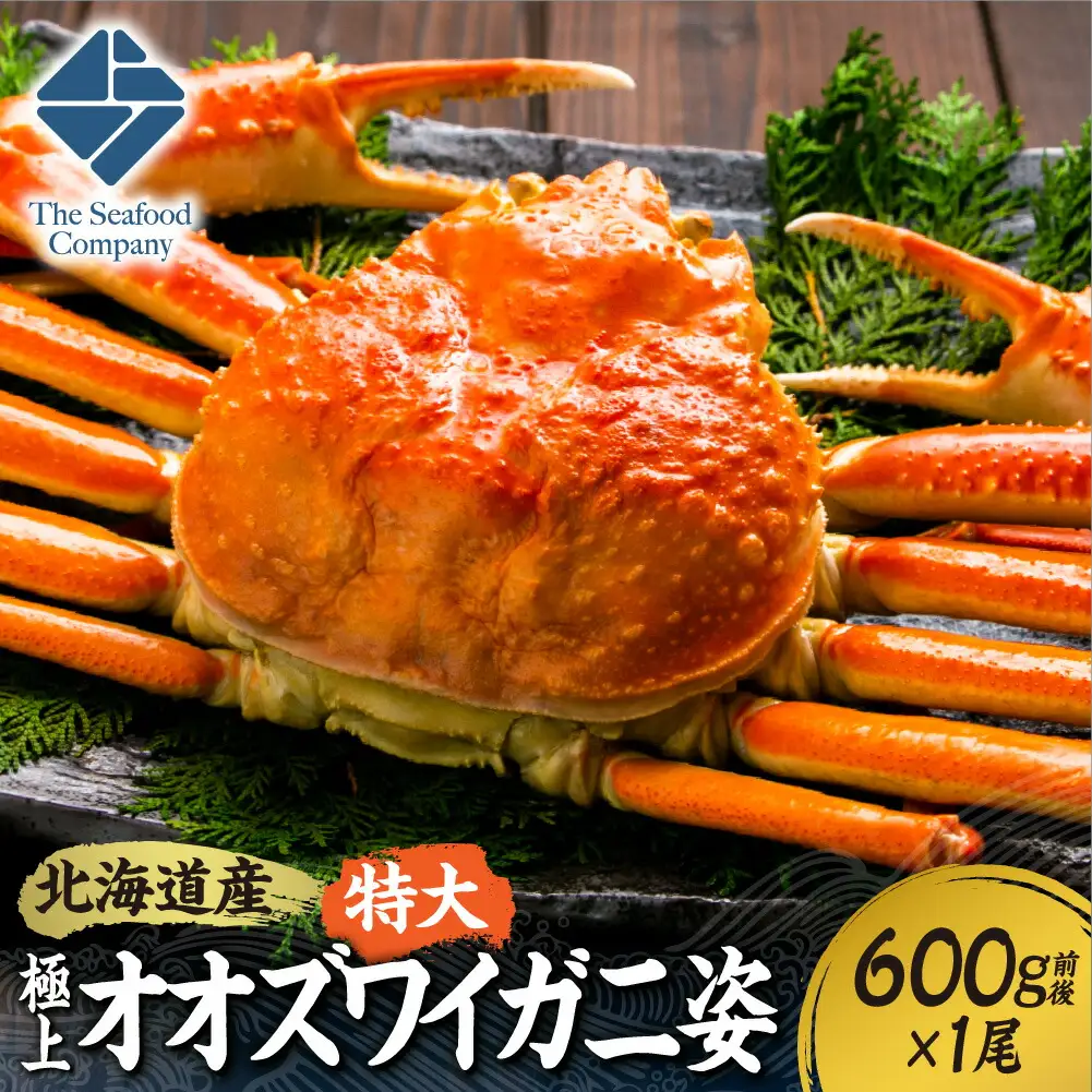北海道産特大極上オオズワイ蟹姿　600g前後×1尾 | 蟹