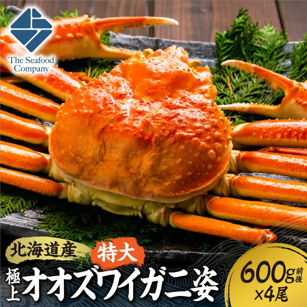 北海道産特大極上オオズワイガニ姿　600g前後×4尾セット | ズワイ蟹