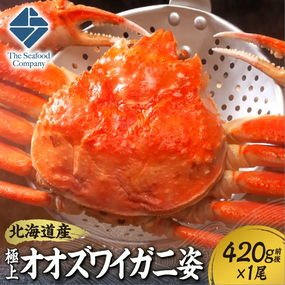 北海道産極上オオズワイガニ姿　420g前後×1尾