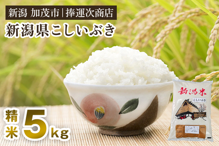 【令和7年産】新潟県産こしいぶき 精米 5kg