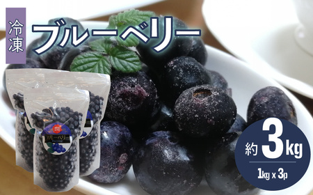 【ふるさと納税】＜ブルーベリー（冷凍） 3kg＞高知県 佐川町 果物 フルーツ 国産 【冷凍】冷凍ブルーベリー 常備果物　大容量　＜４～６ヶ月程度で発送予定（申込状況により遅れる場合があります）＞