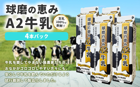 球磨の恵みA2牛乳 4パック 1パック1000ml 1L 計4L 生乳100% ぎゅうにゅう ミルク 