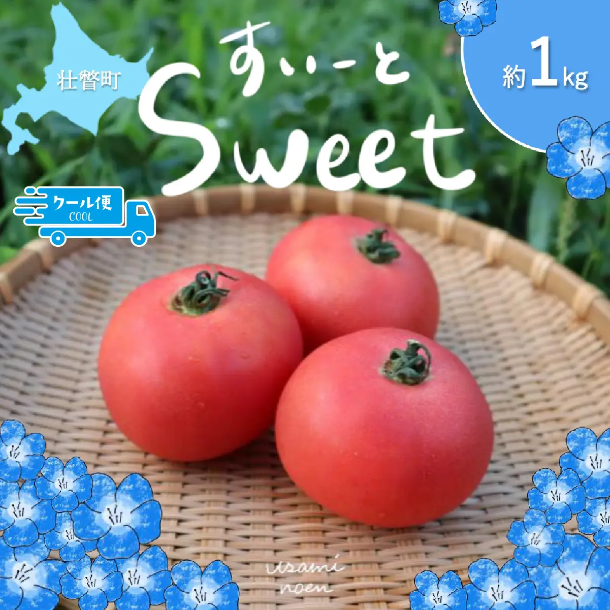 【2026年予約】極旨トマトクール便 北海道壮瞥町産 スイート1kg 中玉トマト SBTAJ016