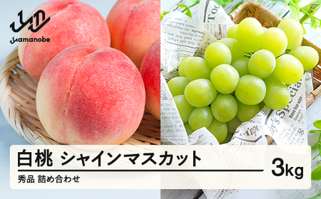 《先行予約》シャインマスカット 秀品 & 白桃 詰め合わせ 3kg 令和8年産 2026年産 果物 桃 白桃 ※沖縄・離島への配送不可 ns-fshsx3