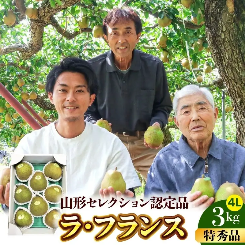 【山形セレクション認定品】ラ・フランス　３ｋｇ　特選　ギフト用　0078-2604