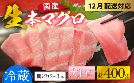 【冷蔵・指定日着可】生本マグロ大トロ 約400g 3～4人前 [B-066008] / 国産 まぐろ 鮪 さく 柵どり 冷蔵 真空パック ヘルシー 4人前 3人前 新鮮 刺身 丼