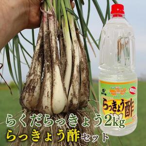 327.【先行予約】朝堀りらくだらっきょうと老舗のらっきょう酢セット　※5月中旬～6月下旬頃に順次発送予定