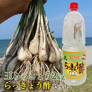 328.【先行予約】朝堀り玉らっきょうと老舗のらっきょう酢セット　※5月中旬～6月下旬頃に順次発送予定