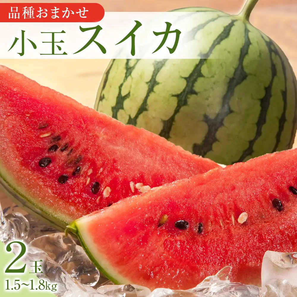 【先行予約】【品種はおまかせ】小玉スイカ 2玉 ※6月上旬～8月中旬頃に順次発送予定 スイカ