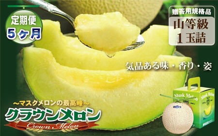 【5ヶ月定期便】クラウンメロン（山等級）１玉入 　果物 フルーツ デザート メロン マスクメロン 青肉 高級 ギフト 贈り物 静岡県産 袋井市