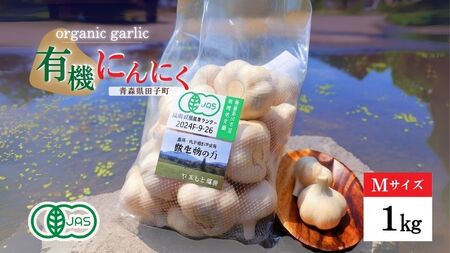 やまもと農産のオーガニックにんにく Mサイズ 1kg