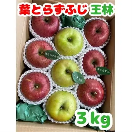 (2026年産予約)【青森市産　完熟葉とらずふじ・王林】約3kg 8～12玉(家庭用)【1181967】