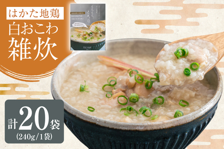 レトルト 白おこわ 雑炊 240g 20袋 計4.8kg [エニクック 福岡県 筑紫野市 21761346]