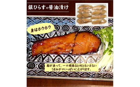 銀ひらす（沖ぶり）醤油漬8切入