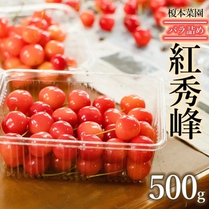 【令和8年産先行予約】山形県 鶴岡市産　さくらんぼ 「紅秀峰」（2Lサイズ以上） バラ詰め 500g  榎本菜園 K-835