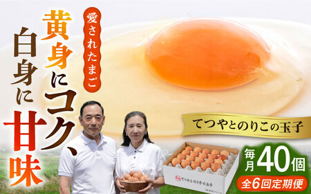【全6回定期便】てつやとのりこの玉子 【 40個 】 糸島市 / 板垣ファーム 卵 たまご 鶏卵[AWD021]