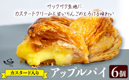 アップルパイ カスタード入り 6個入り (1箱)《30日以内に出荷予定(土日祝除く)》和歌山県 紀の川市 サクセム株式会社 焼き菓子 アップル りんご パイ カスタード