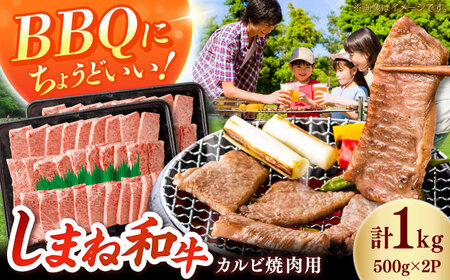 カルビ しまね和牛カルビ 1kg(500g×2) [AIEA011] カルビ