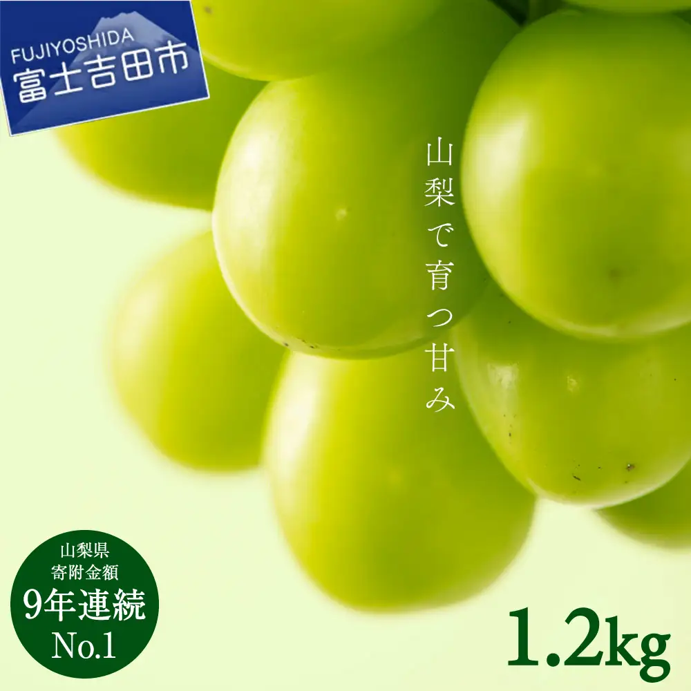 シャインマスカット 【2026年発送】山梨県産 シャインマスカット2～3房 (1.2kg以上)  フルーツ