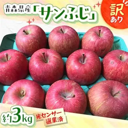青森県産「サンふじ」家庭用　訳あり 光センサー選果済　約3kg【1656885】