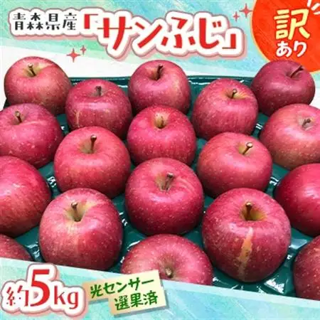 青森県産「サンふじ」家庭用　訳あり 光センサー選果済　約5kg【1656888】