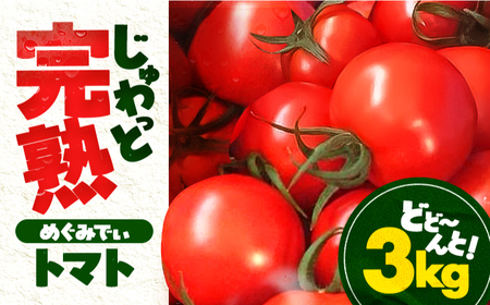 完熟 めぐみでぃトマト 3kg （毎週水曜日発送） / とまと トマト 完熟トマト 高糖度 トマト 取り寄せ / 小浜市 / 若狭の恵 【配送不可地域：離島】[BFAG030]