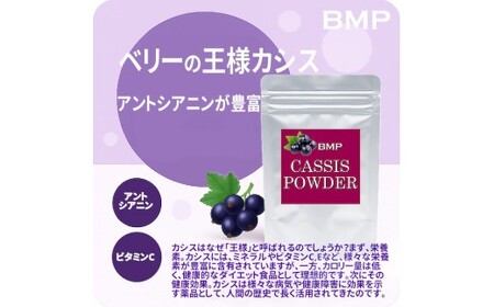 BMP カシスパウダー 3kg（100g×30袋）（カシス濃縮果汁粉末）