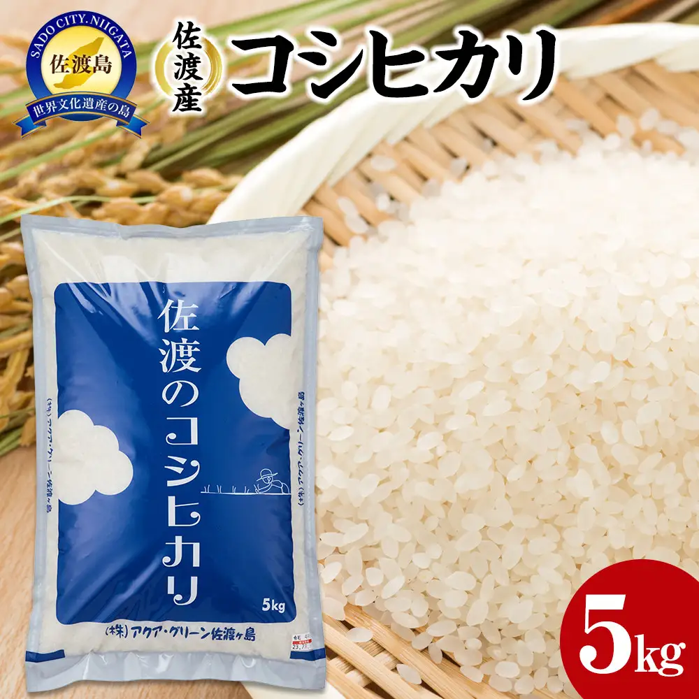 【令和7年産】佐渡産コシヒカリ　5kg