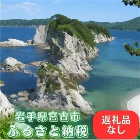 【返礼品なし】岩手県宮古市への寄附(50,000円)