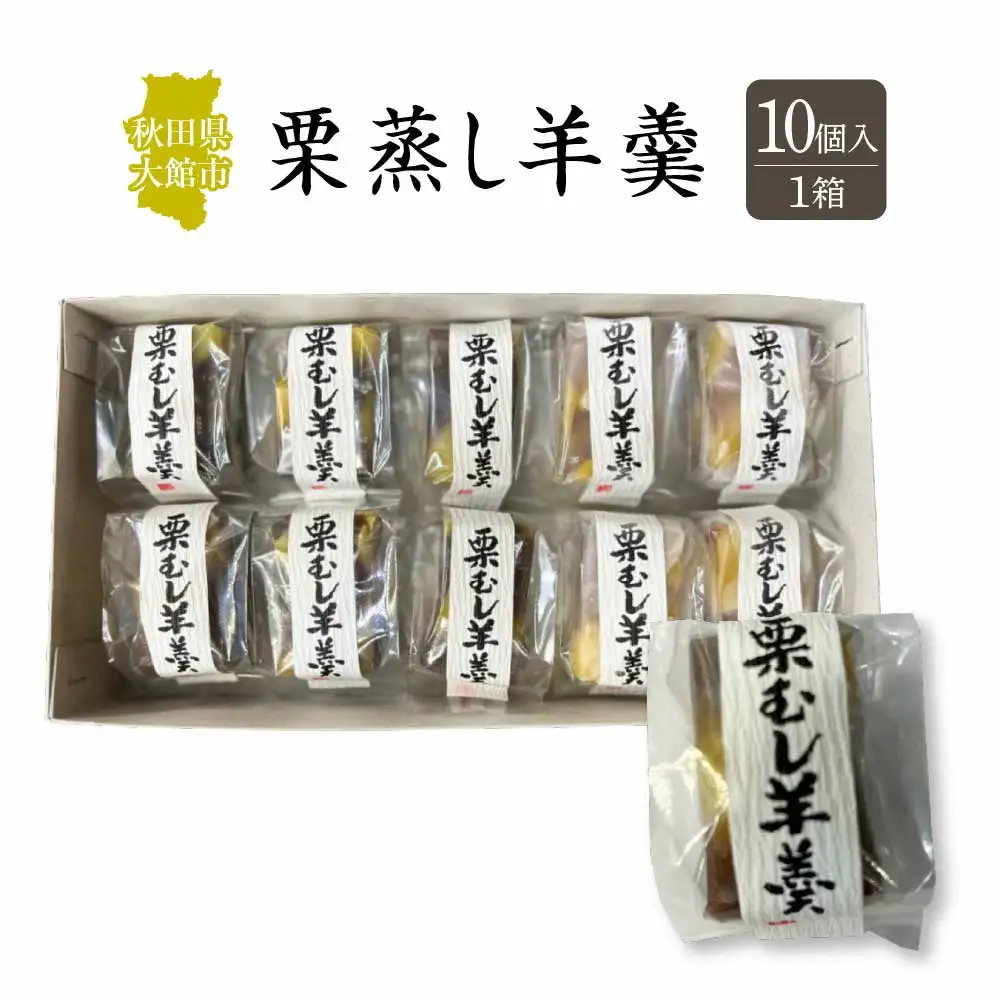 栗蒸し羊羹　10個入り　40P5619