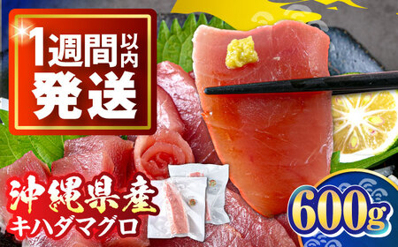 冷凍キハダマグロ 600g (300g×2パック)   [BCDZ001]