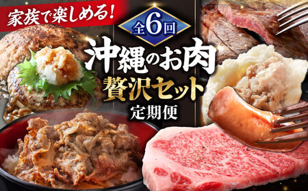 【全6回定期便】沖縄のお肉贅沢セット ハンバーグ あぐー 石垣牛 ステーキ 焼肉 冷凍