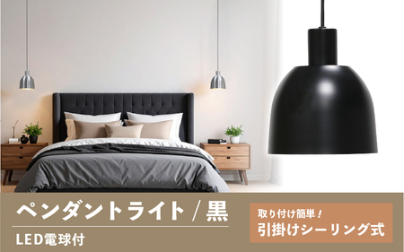 ペンダントライト（黒） SP -126 -　＋SP -126 -04 - /LDF45D(Ball95) 付
