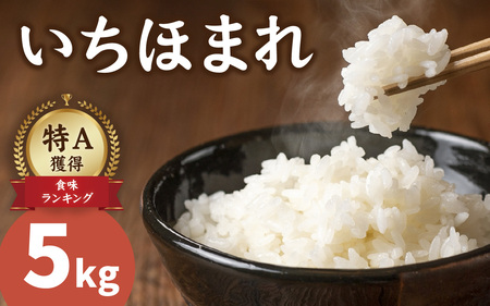 【令和7年産】減農薬・化学肥料不使用  いちほまれ 5kg×1袋 特別栽培米 福井 ブランド米  5キロ 令和7年 