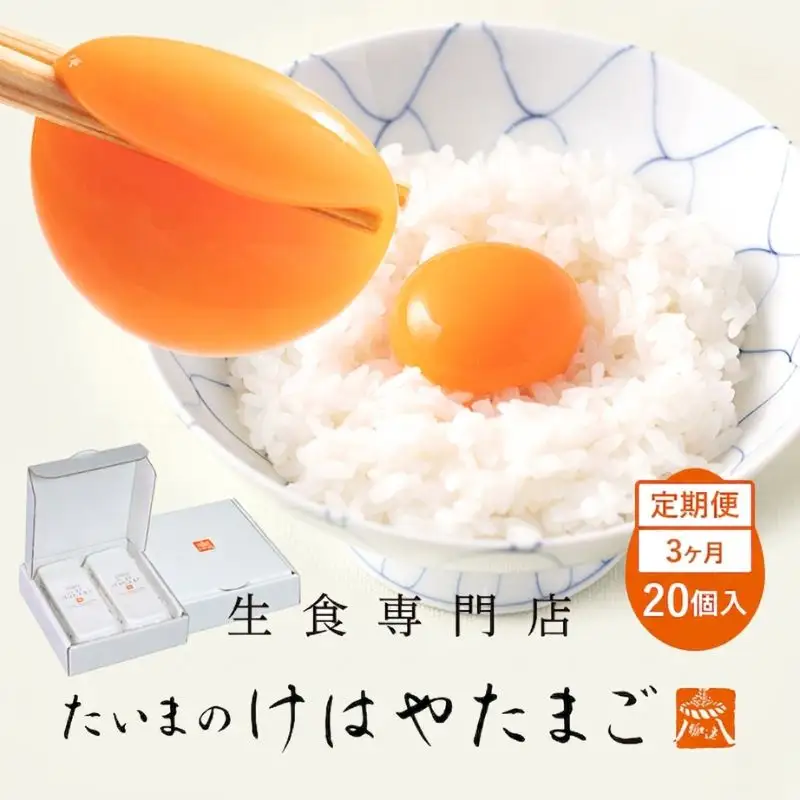 たいまのけはやたまご　20個入　3ヶ月定期便　／　定期便　たまご　生卵　奈良県　葛城市【tegg-tkb001】